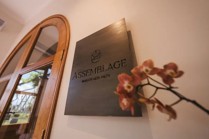 Presentation image of Alta Vista