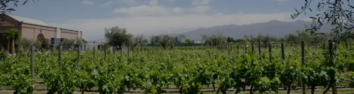 Presentation image of Alta Vista