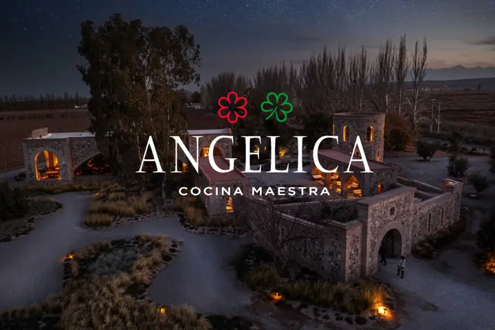 Presentation image of Angelica Cocina Maestra nuevo