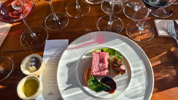 Presentation image of Angelica Cocina Maestra