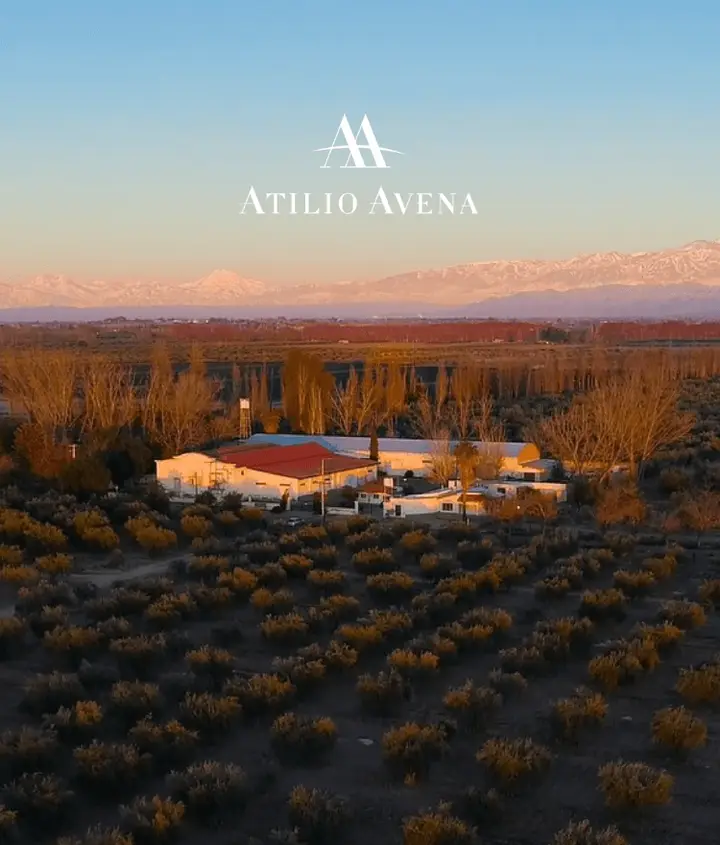 Presentation image of Atilio Avena