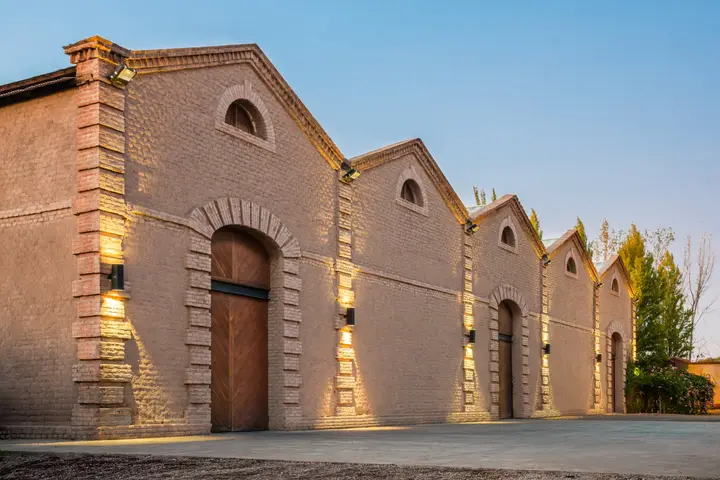 Presentation image of Bodega Benegas