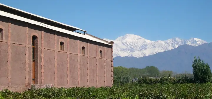 Presentation image of Bodega Benegas