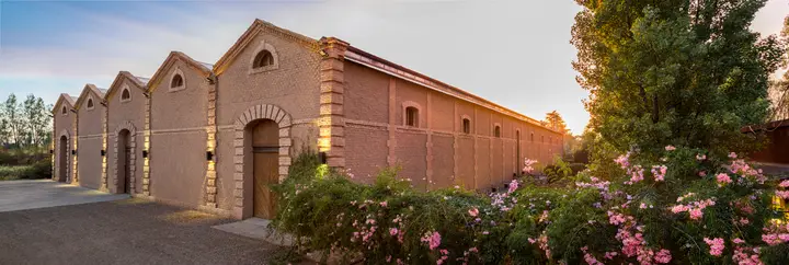 Presentation image of Bodega Benegas