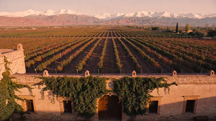 Presentation image of Bodega Benegas