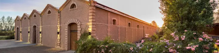 Presentation image of Bodega Benegas