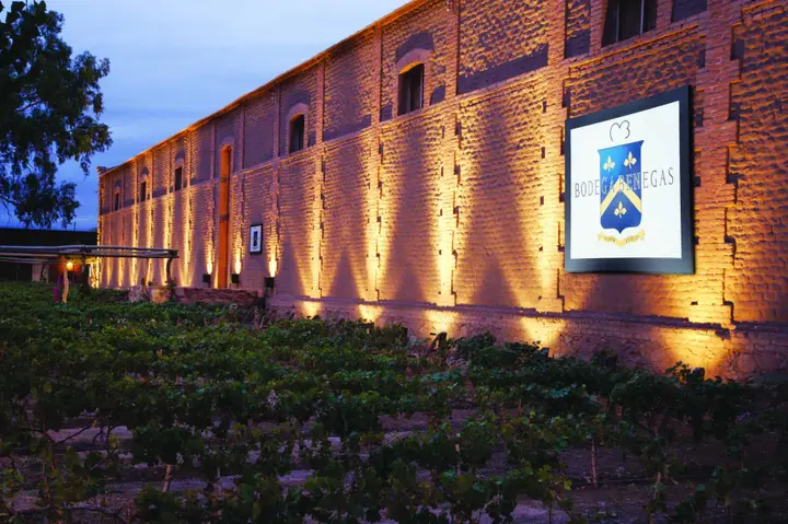 Presentation image of Bodega Benegas