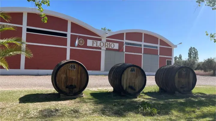 Presentation image of Bodega Florio