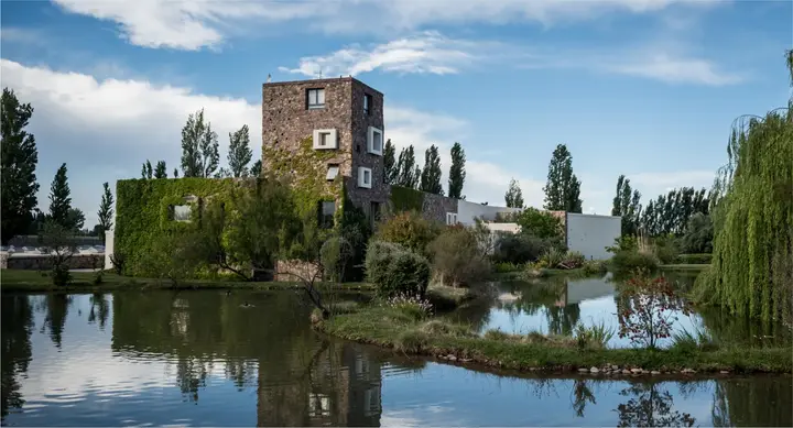 Presentation image of Bodegas y Viñedos Renacer
