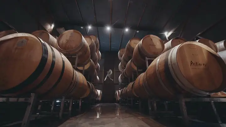 Presentation image of Bodegas y Viñedos Renacer