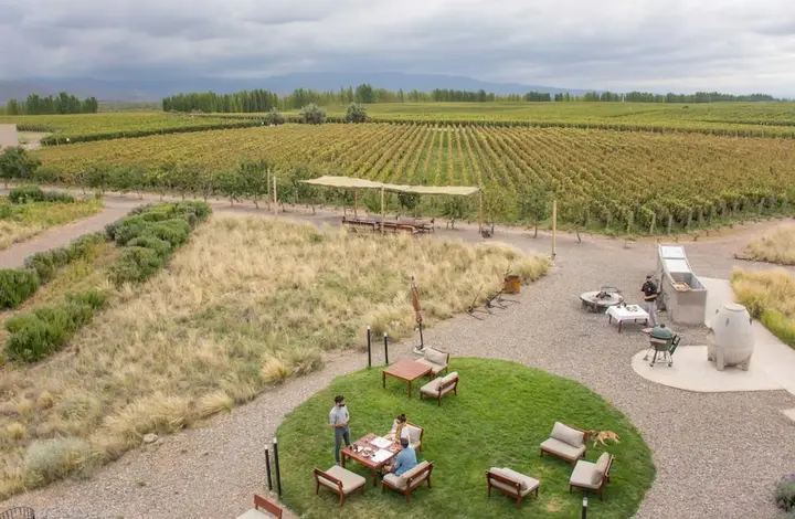 Imagen de presentación de Casa del Vino