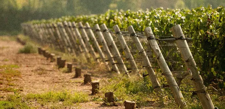 Presentation image of Clos de Chacras