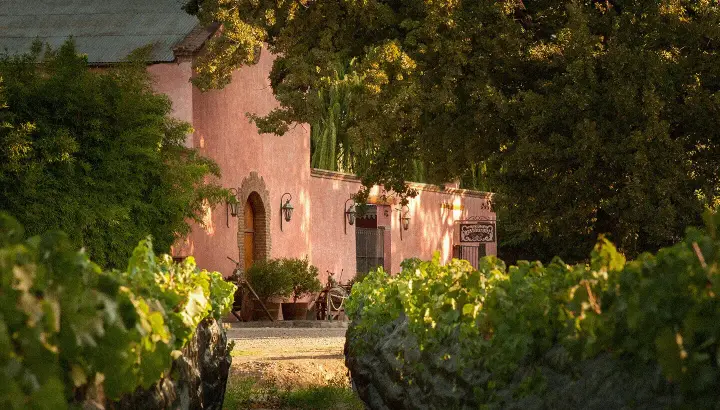 Presentation image of Clos de Chacras
