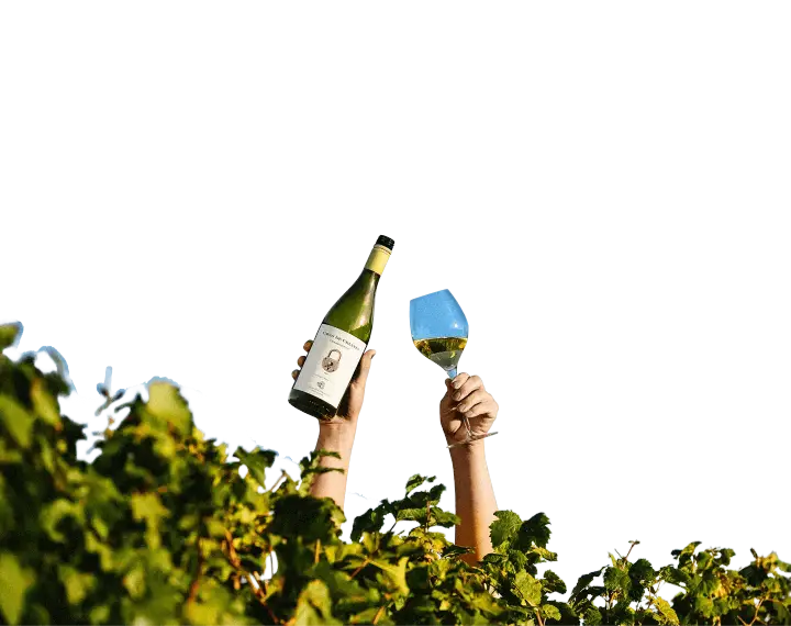 Presentation image of Clos de Chacras