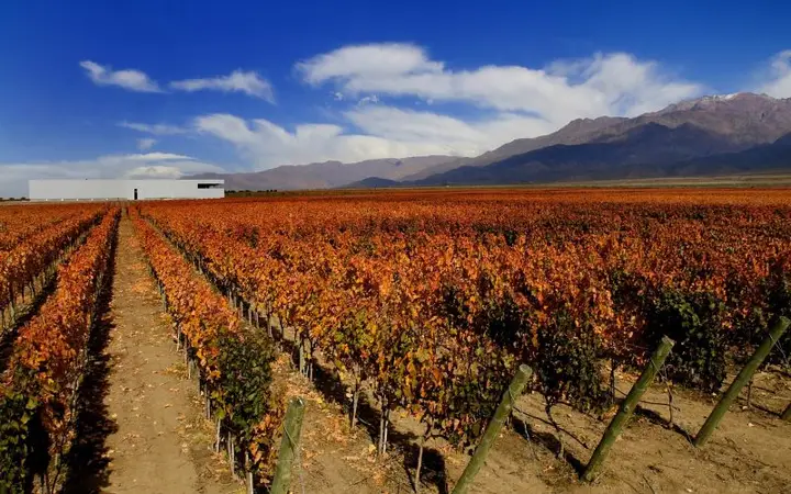 Presentation image of Clos de los 7