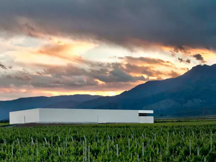 Presentation image of Clos de los 7