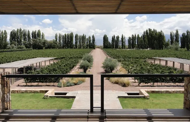 Presentation image of Cruzat