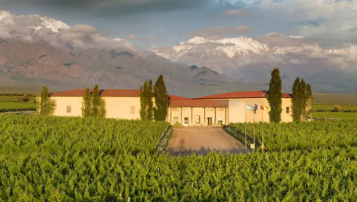 Presentation image of Cuvelier de los Andes