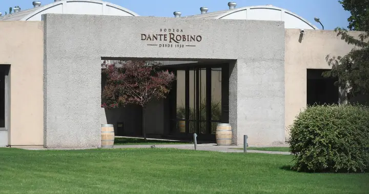 Imagen de presentación de Dante Rubino