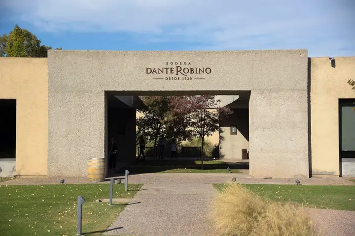 Imagen de presentación de Dante Rubino