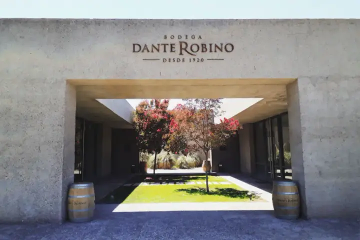 Imagen de presentación de Dante Rubino