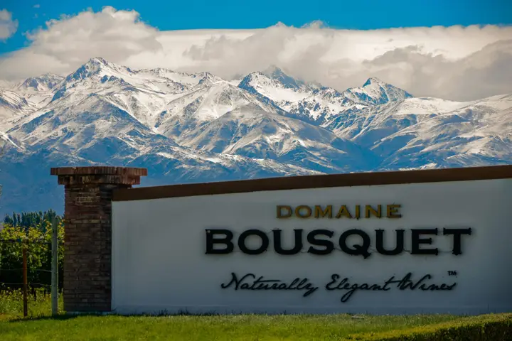 Presentation image of Domaine Bousquet