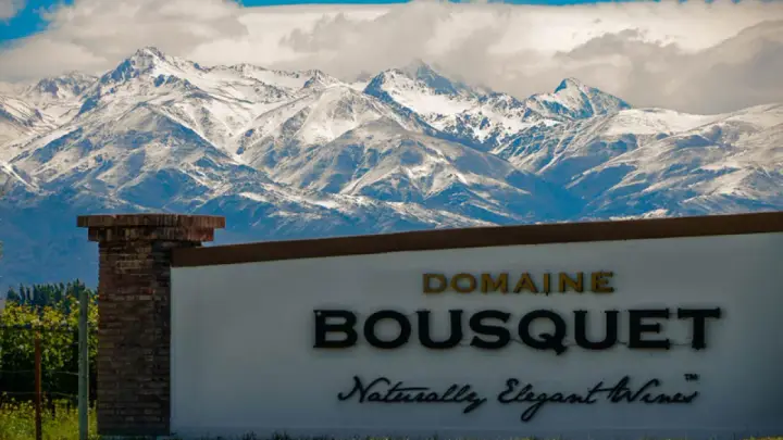 Imagen de presentación de Domaine Bousquet