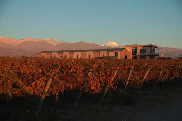 Imagen de presentación de Domaine Bousquet