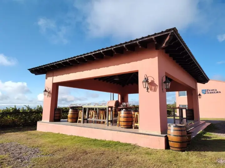 Imagen de presentación de Finca Adelma