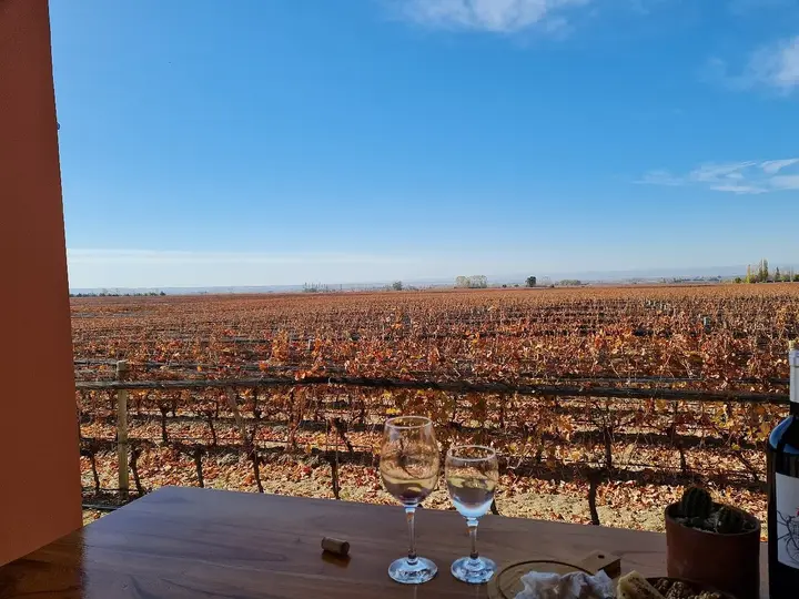 Imagen de presentación de Finca Adelma