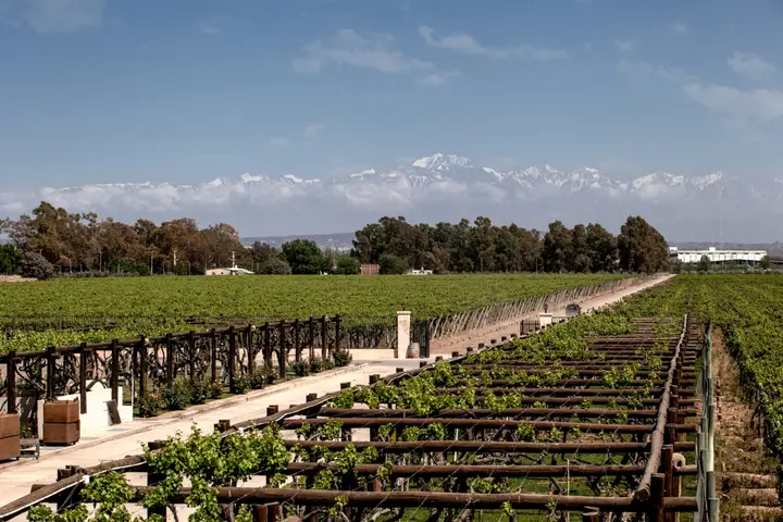 Imagen de presentación de Finca Agostino
