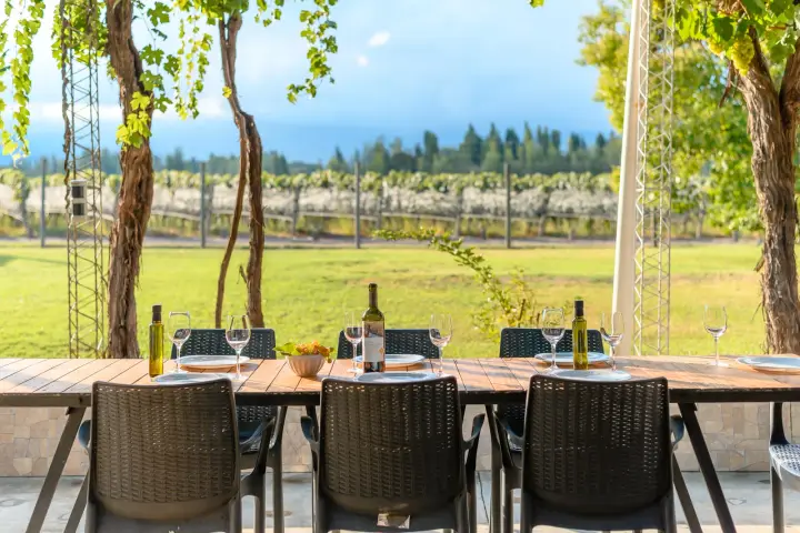 Presentation image of Finca Bandini