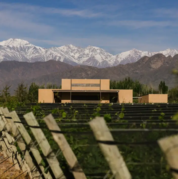 Presentation image of Finca Bandini