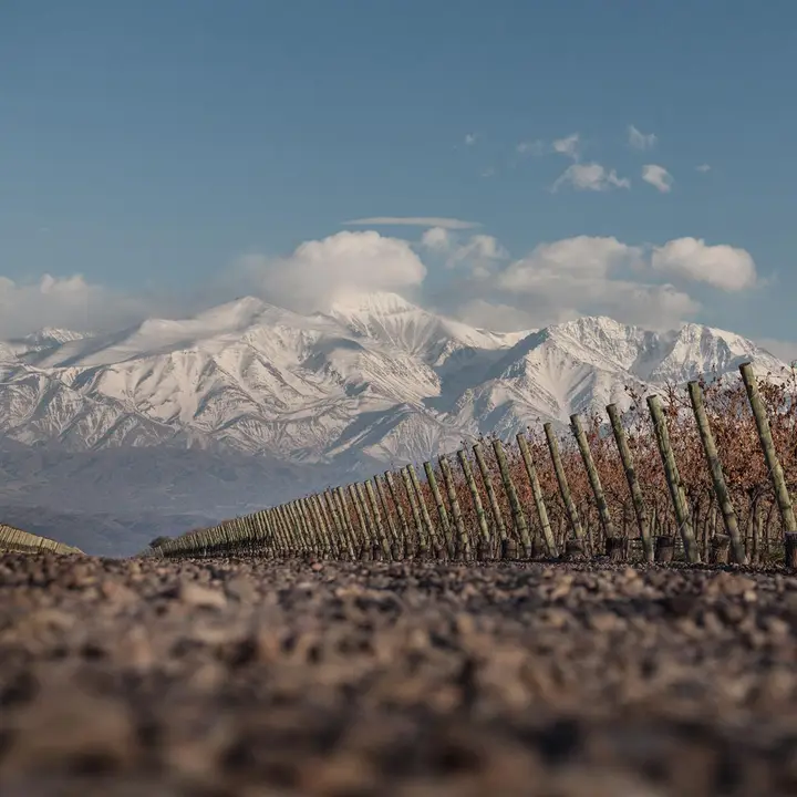 Imagen de presentación de Finca DeCero