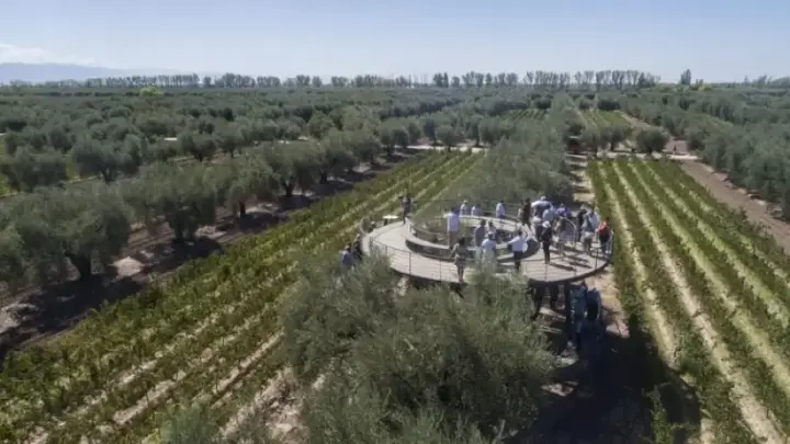 Imagen de presentación de Finca paraiso