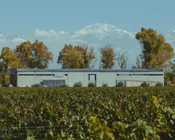 Presentation image of Huarpes Wines