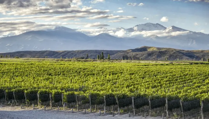 Imagen de presentación de Huentala Wines