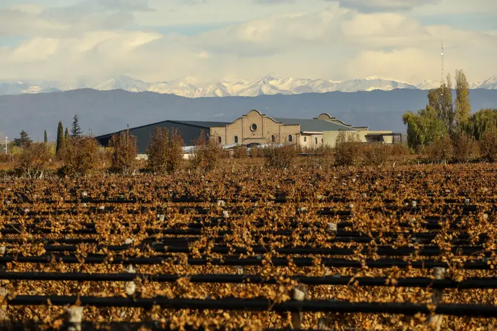 Presentation image of Las Perdices