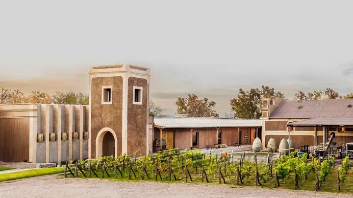 Presentation image of Los Toneles