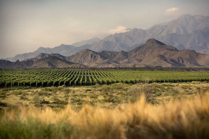Presentation image of Los Toneles
