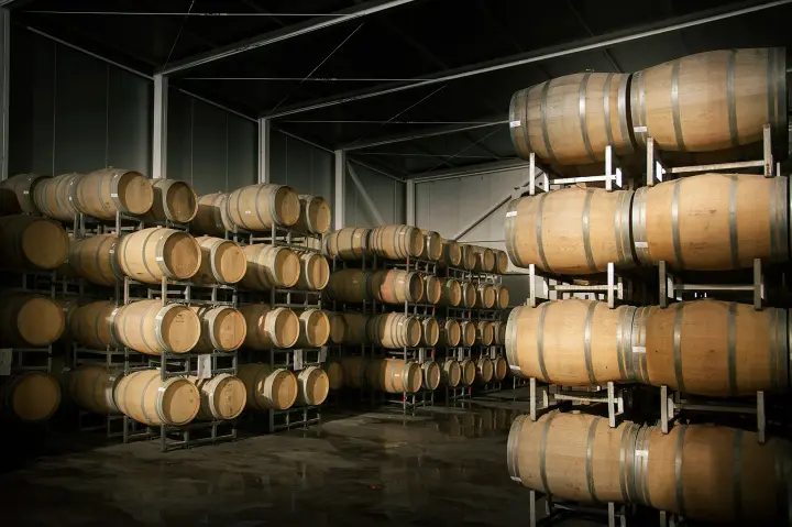 Presentation image of Martino Wines
