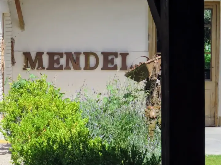 Presentation image of Mendel