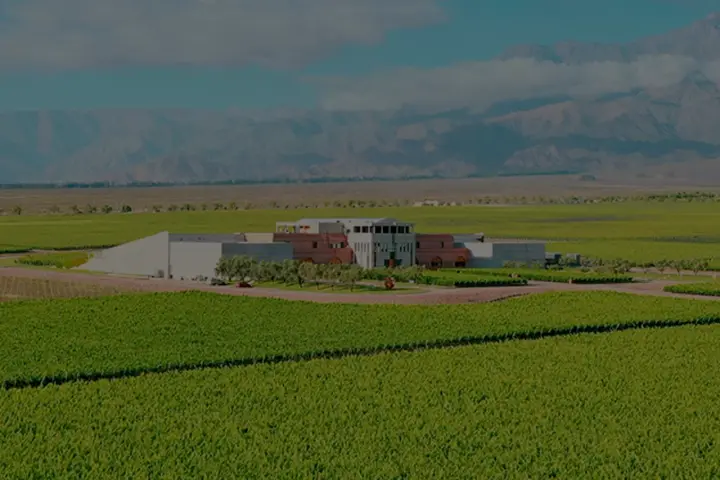 Presentation image of Monteviejo