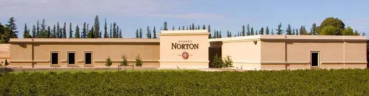 Imagen de presentación de Norton
