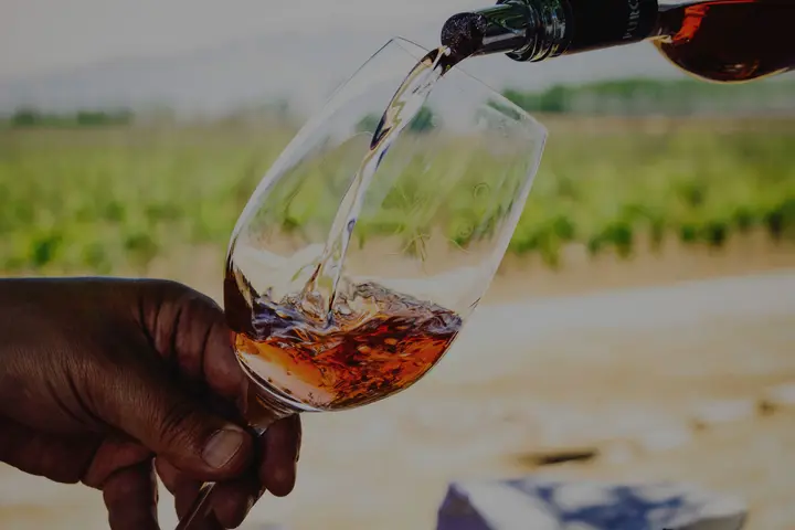 Presentation image of Ojo de Agua