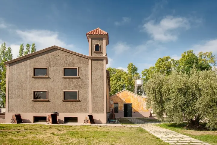 Presentation image of Olivicola Laur