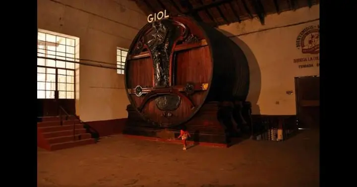 Imagen de presentación de Olivicola Pasrai