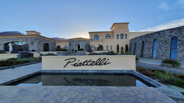 Presentation image of Piatelli