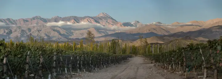 Imagen de presentación de Piedra Infinita Zuccardi
