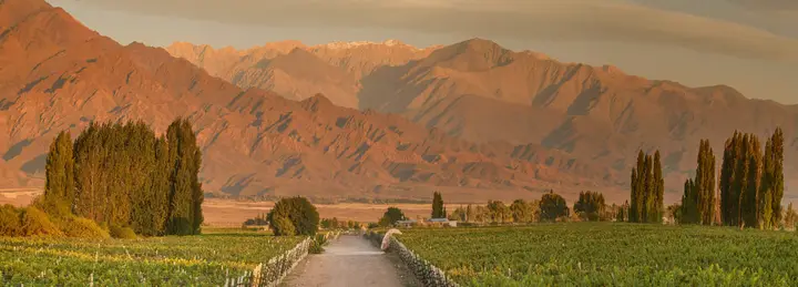Imagen de presentación de Piedra Infinita Zuccardi